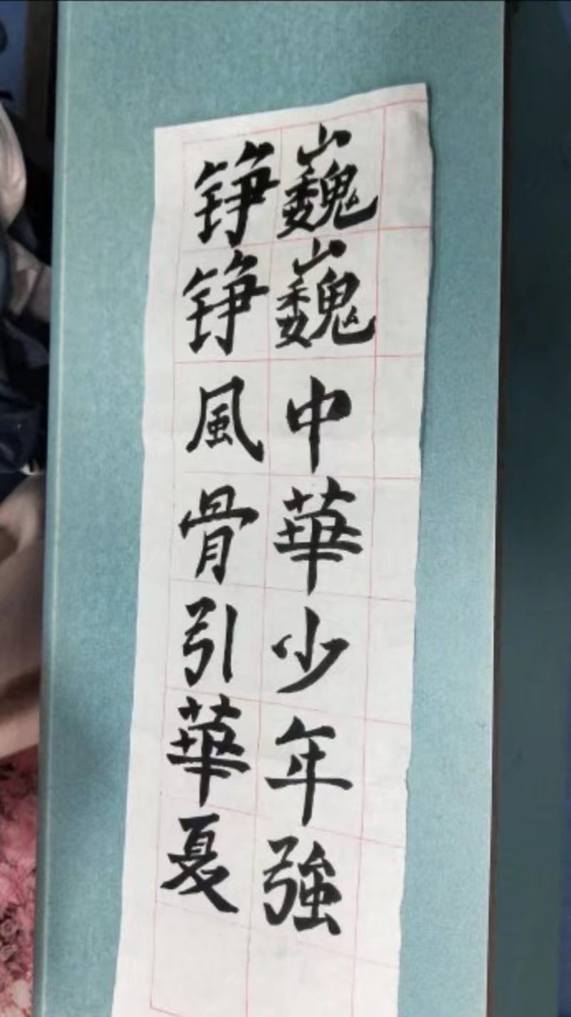 “巍巍中华少年强,铮铮风骨引华夏” 团组织活动 M88