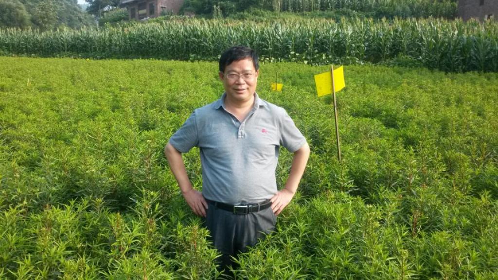 工程中心负责人杨善彬教授